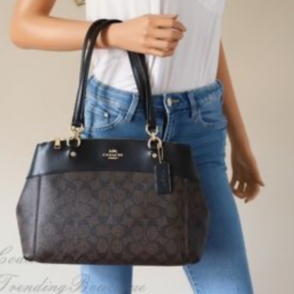 EUC Coach Brook Carryall Brown Black Signature F26140 tote bag